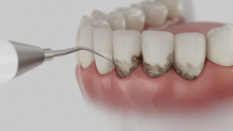 Reliable Dental contractor in Frederick, MD by Dentist Open Now